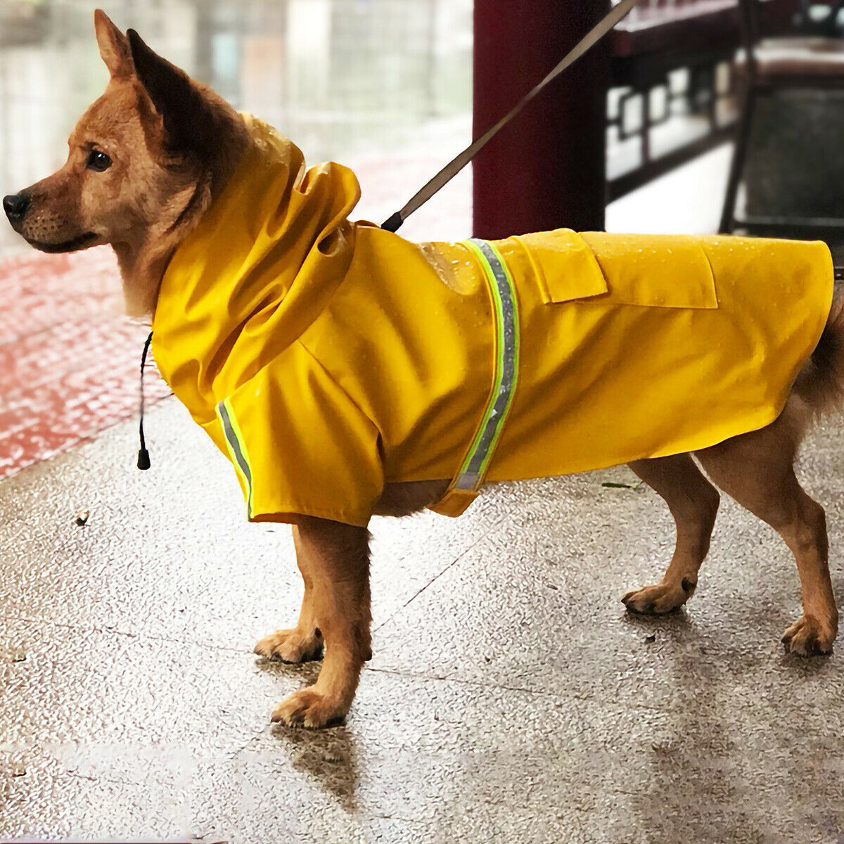 Waterproof Reflective Dog Raincoat