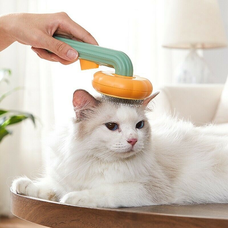 **Pet Pumpkin Self-Cleaning Grooming Brush for Dogs & Cats**