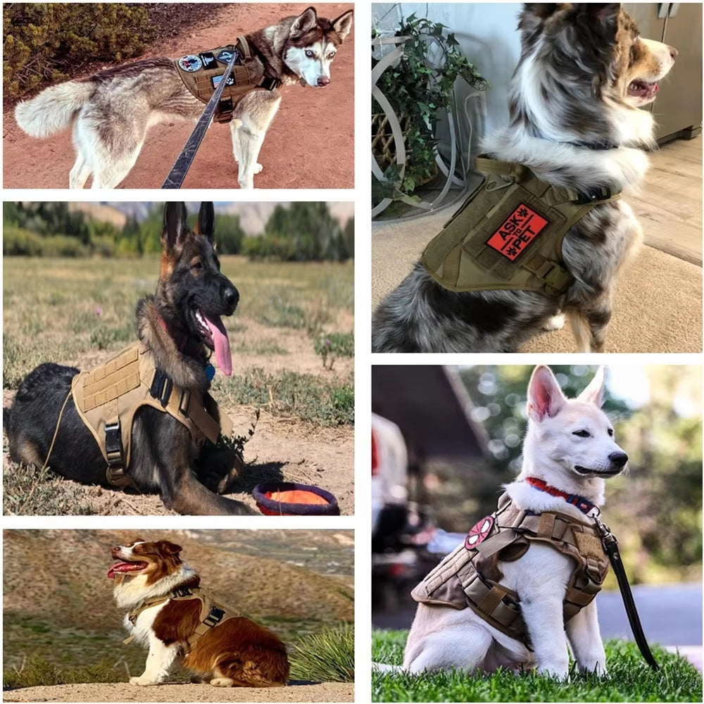Dog Harness-Luxury Dog Leash Set-Tactical Chest Harness