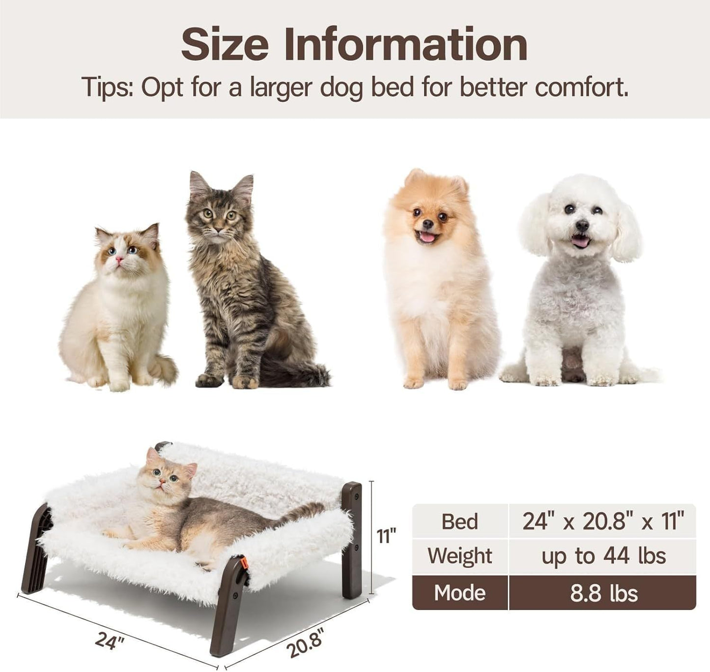 Washable Small Dog Bed For Kittens & Puppies Beige Brown