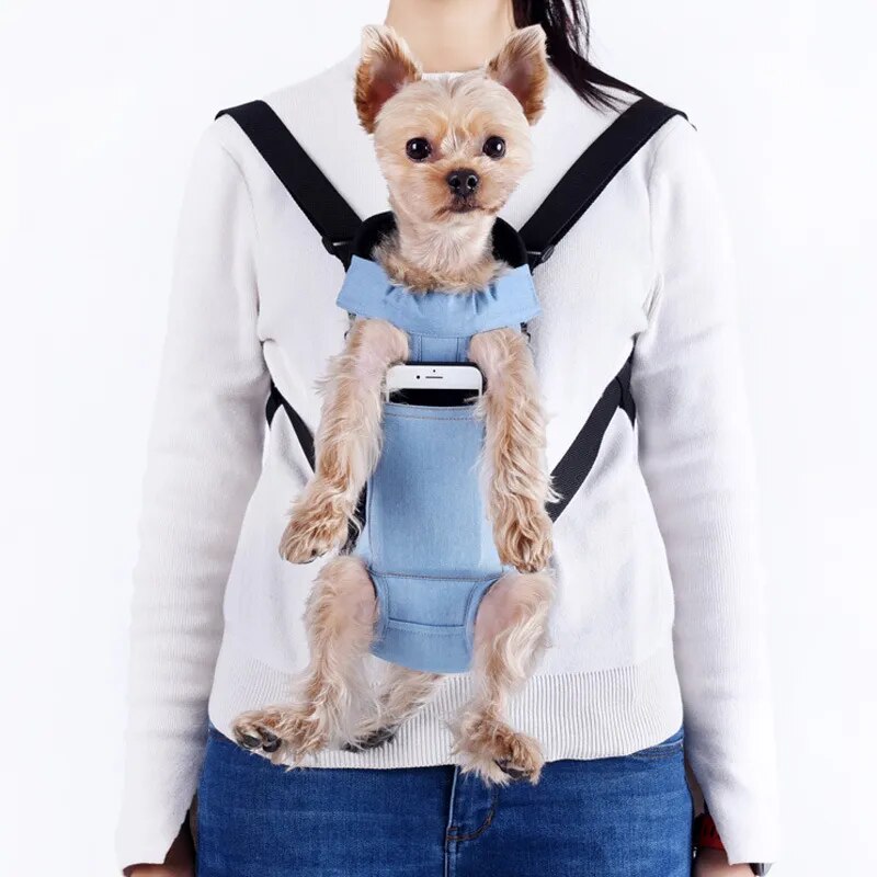 Small Pet Carrier