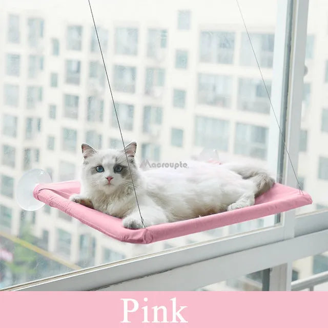 Hanging Cat Hammock