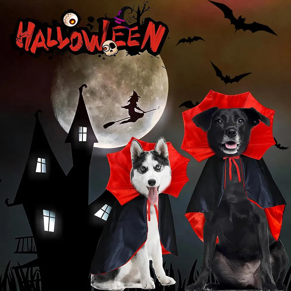 Vampire Halloween Dog Costumes