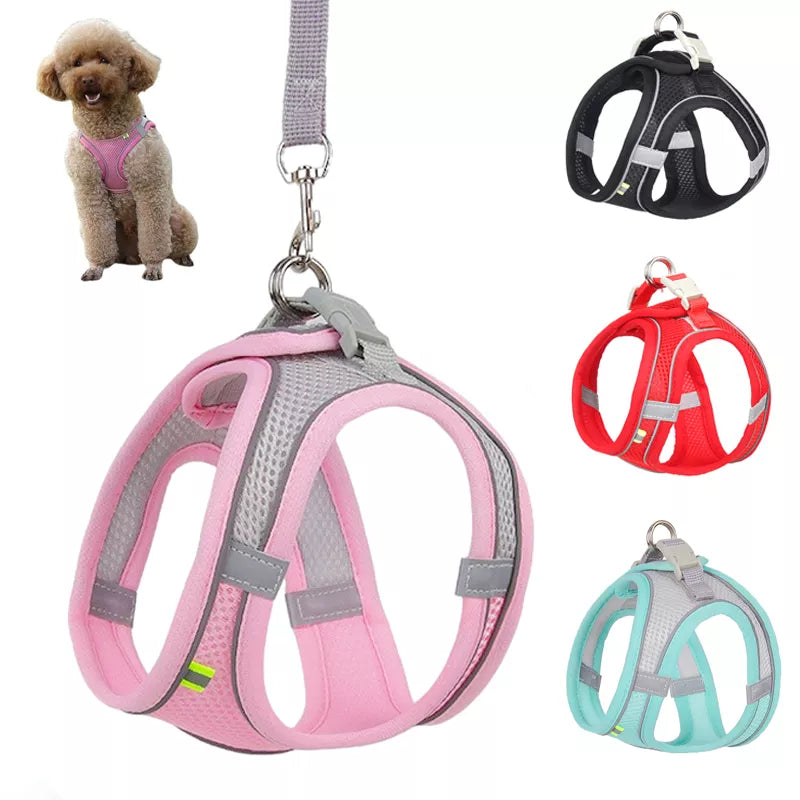Dog Harness & Leash Set