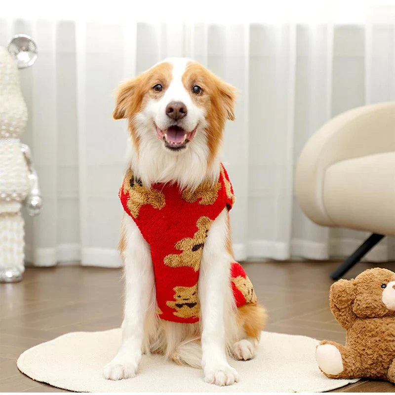 **Plush Bear Dog Sweater – Warm Winter Jacket (3XL-6XL)**