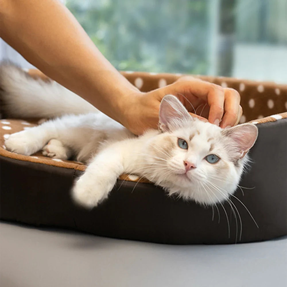 "Minimalist Pet Bed – Soft Poka Dot Sponge Cushion for Cats & Dogs – Chic Puppy House Mat & Habitat Accessory"