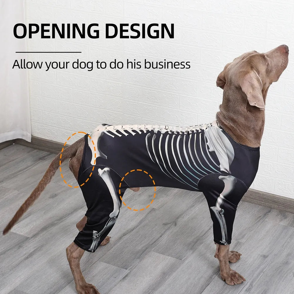 Skeleton Halloween Dog Costume