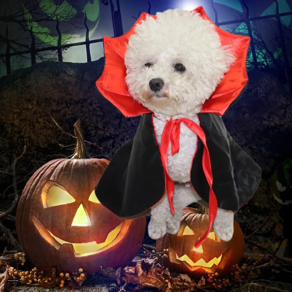 Vampire Halloween Dog Costumes