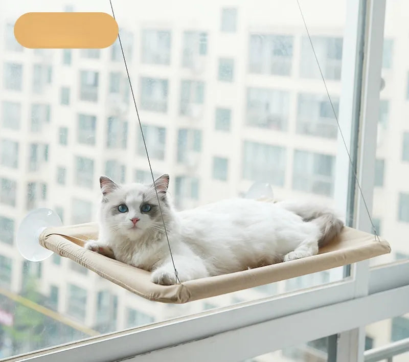 Hanging Cat Hammock