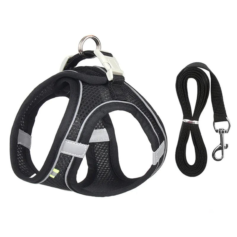 Dog Harness & Leash Set