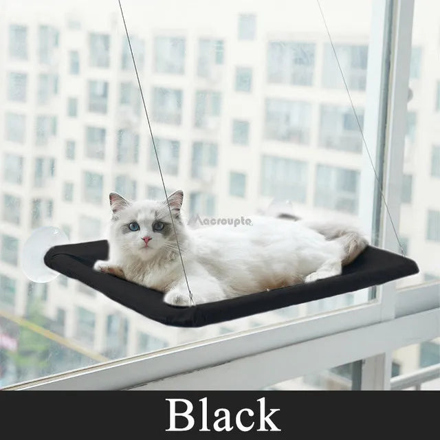 Hanging Cat Hammock