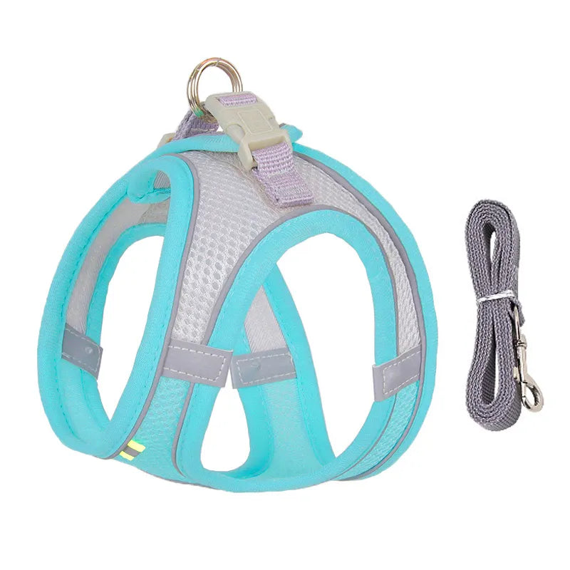 Dog Harness & Leash Set