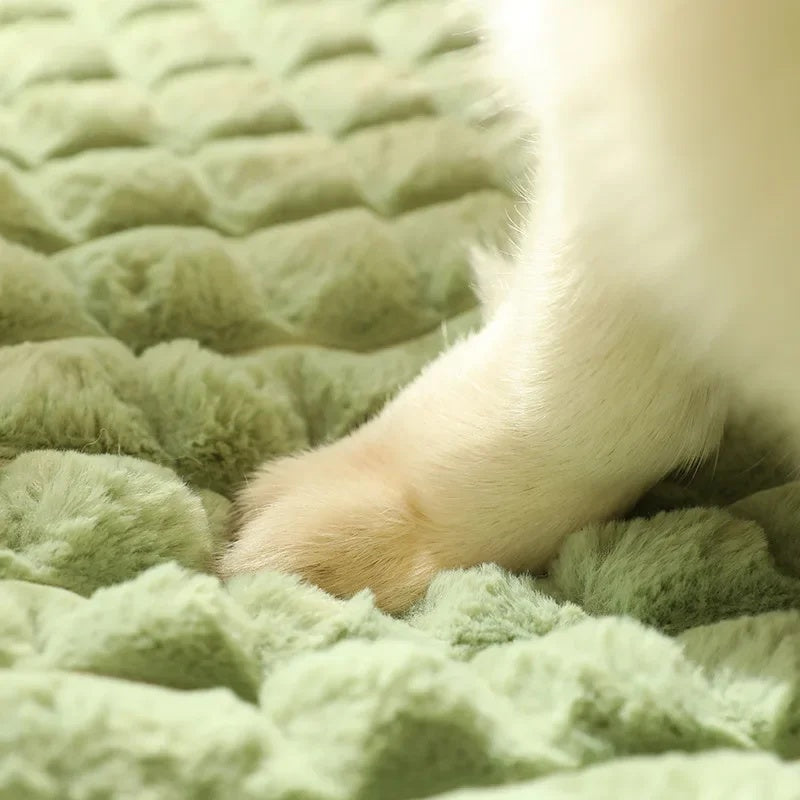 Warm Washable Floor Mat for small, medium & Large Cats & Dogs