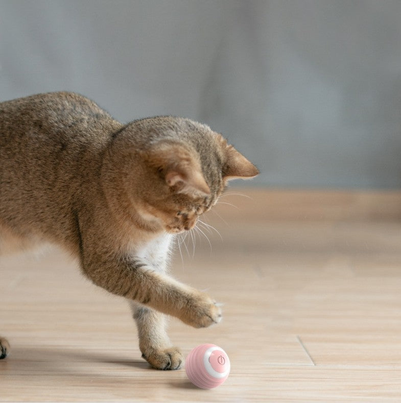 Automatic-Bouncing Rolling Ball Smart Cat Toy