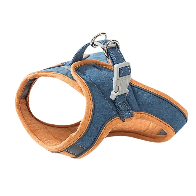 Kitten Harness