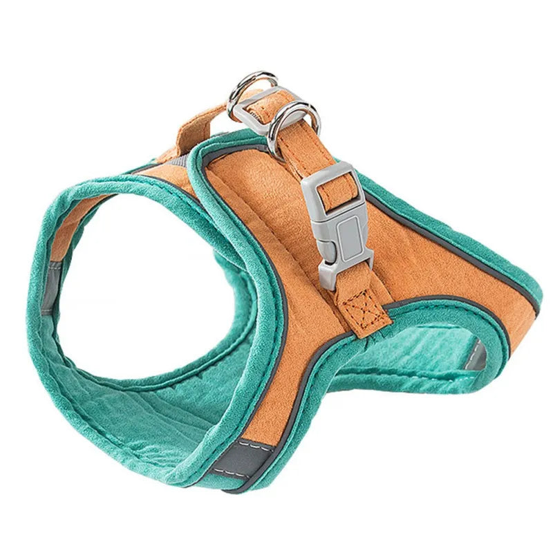 Kitten Harness