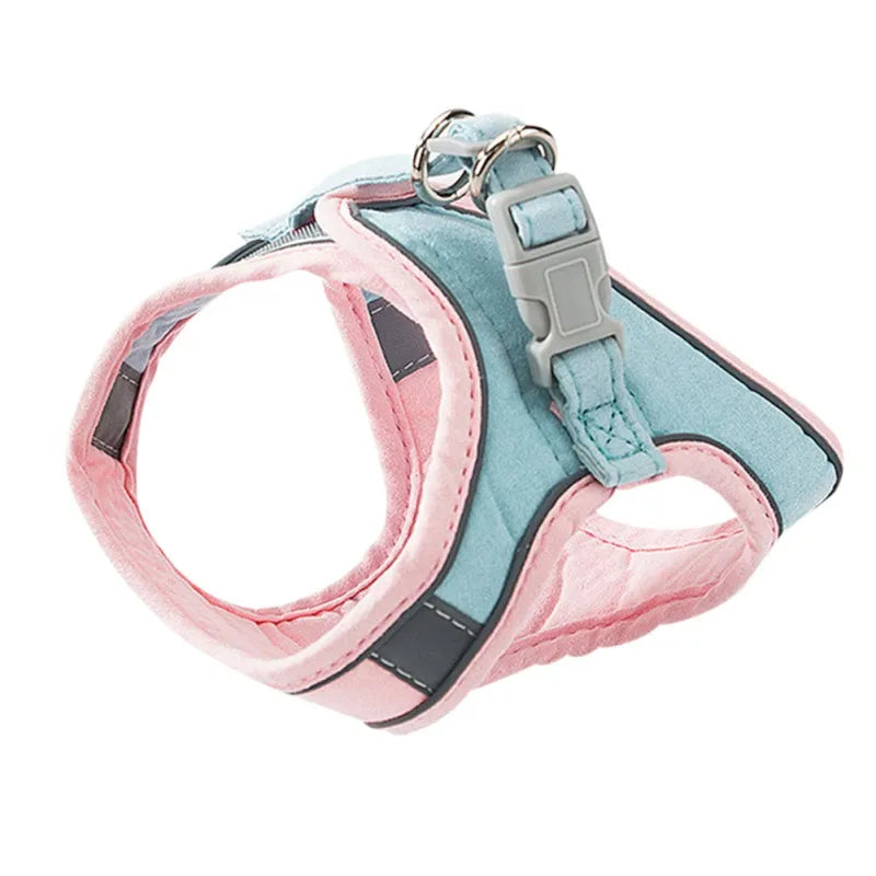 Kitten Harness