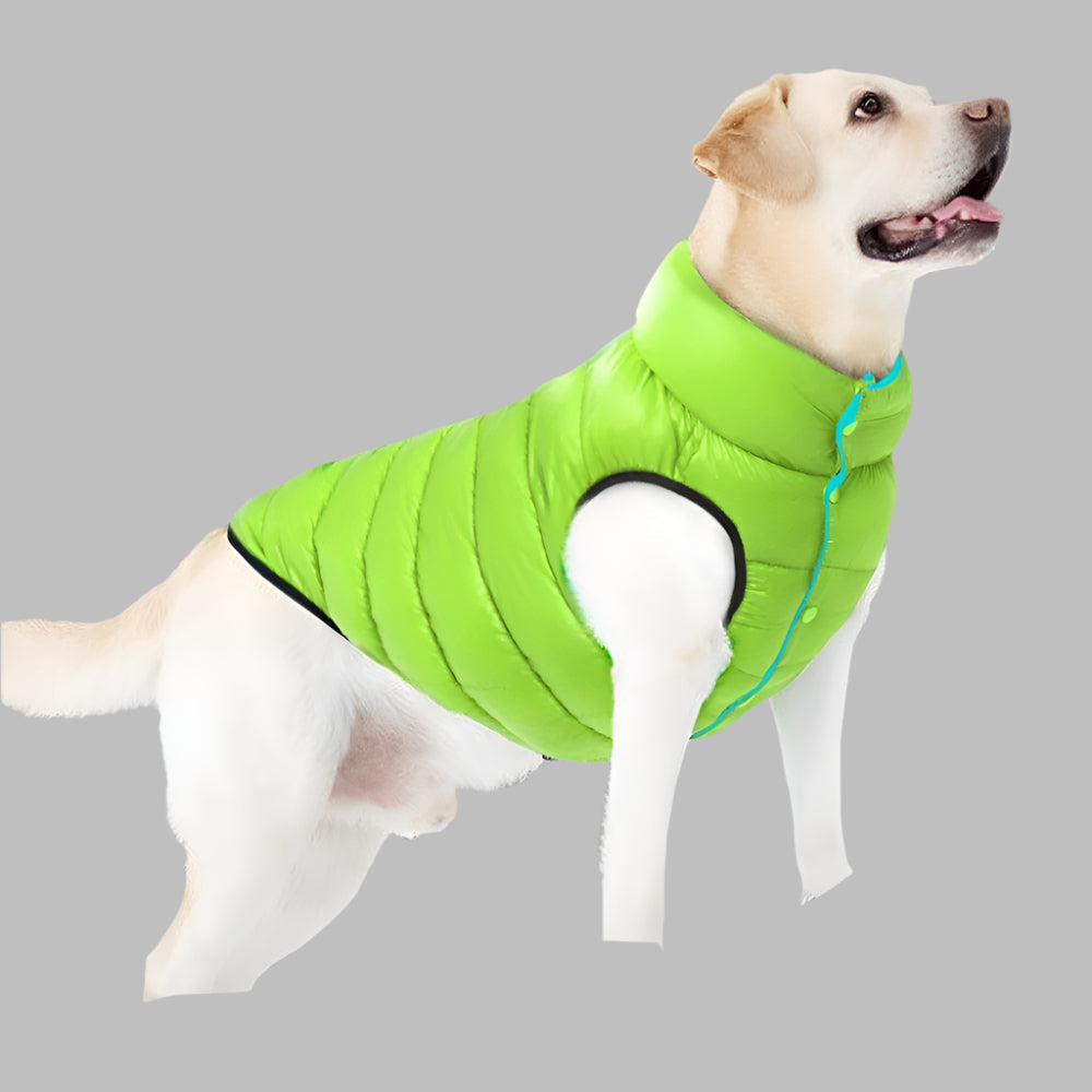 Winter Reversible Dog Vest