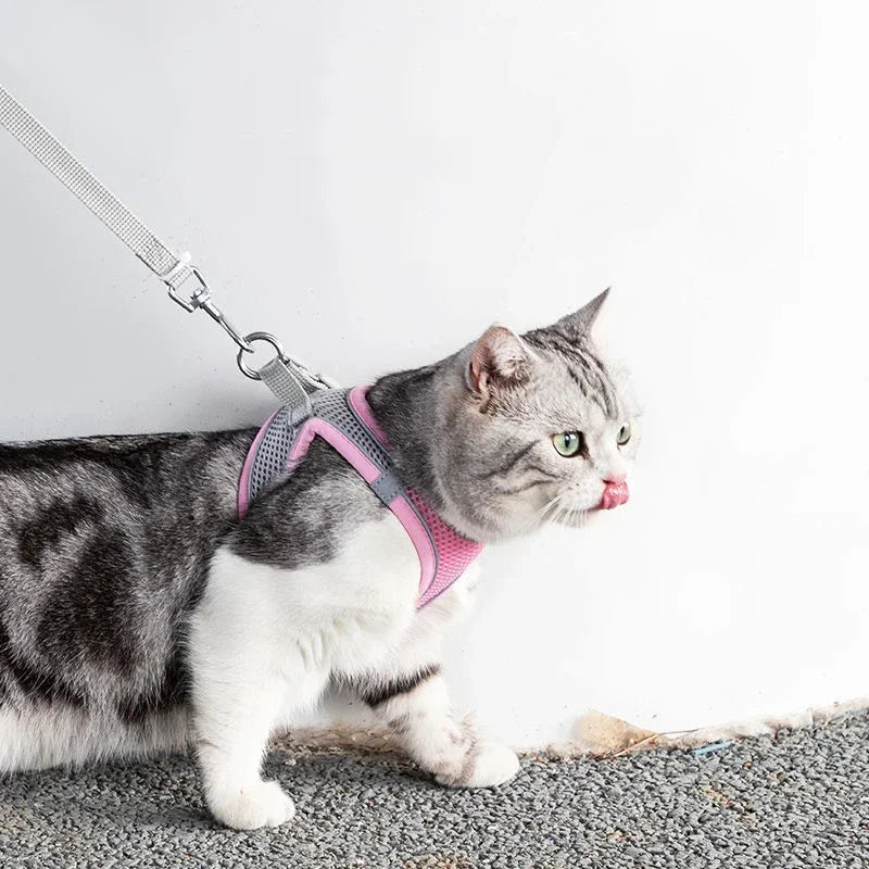 Adjustable Cat Harness & Leash Set