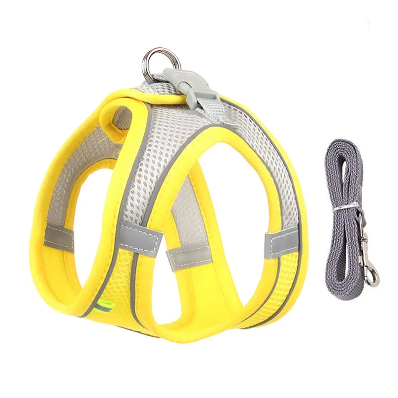 Dog Harness & Leash Set