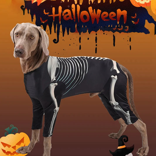 Skeleton Halloween Dog Costume
