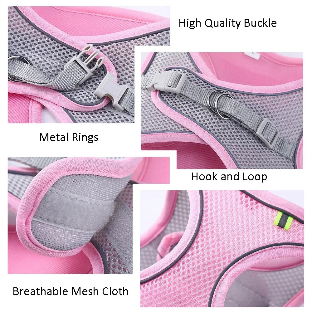 Adjustable Cat Harness & Leash Set