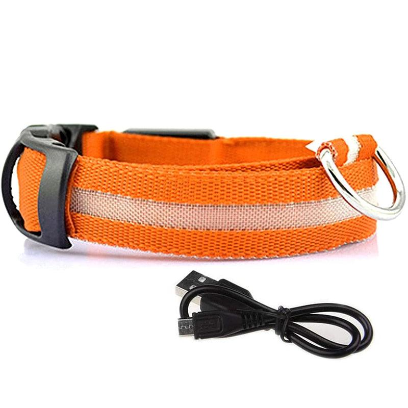 LED Pet Collar