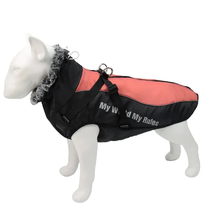 Waterproof - Winter Dog Coat With Harness