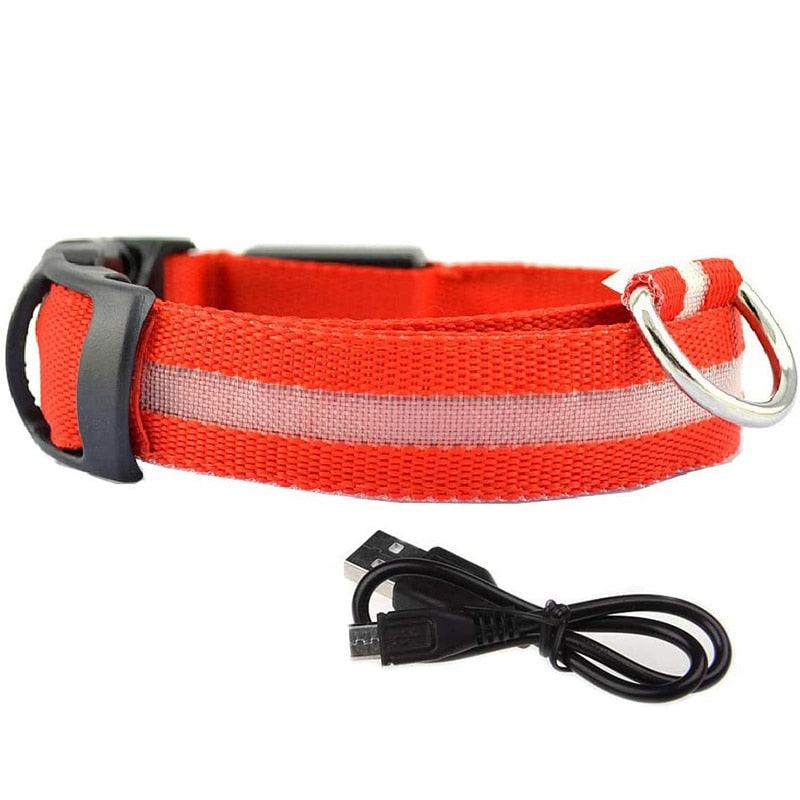 LED Pet Collar
