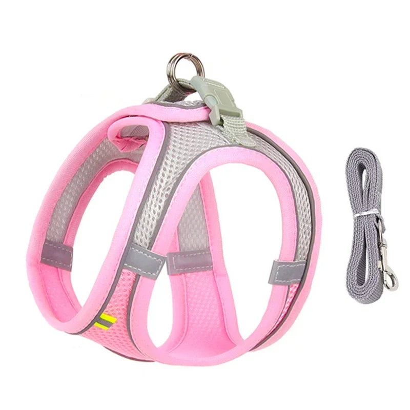 Adjustable Cat Harness & Leash Set