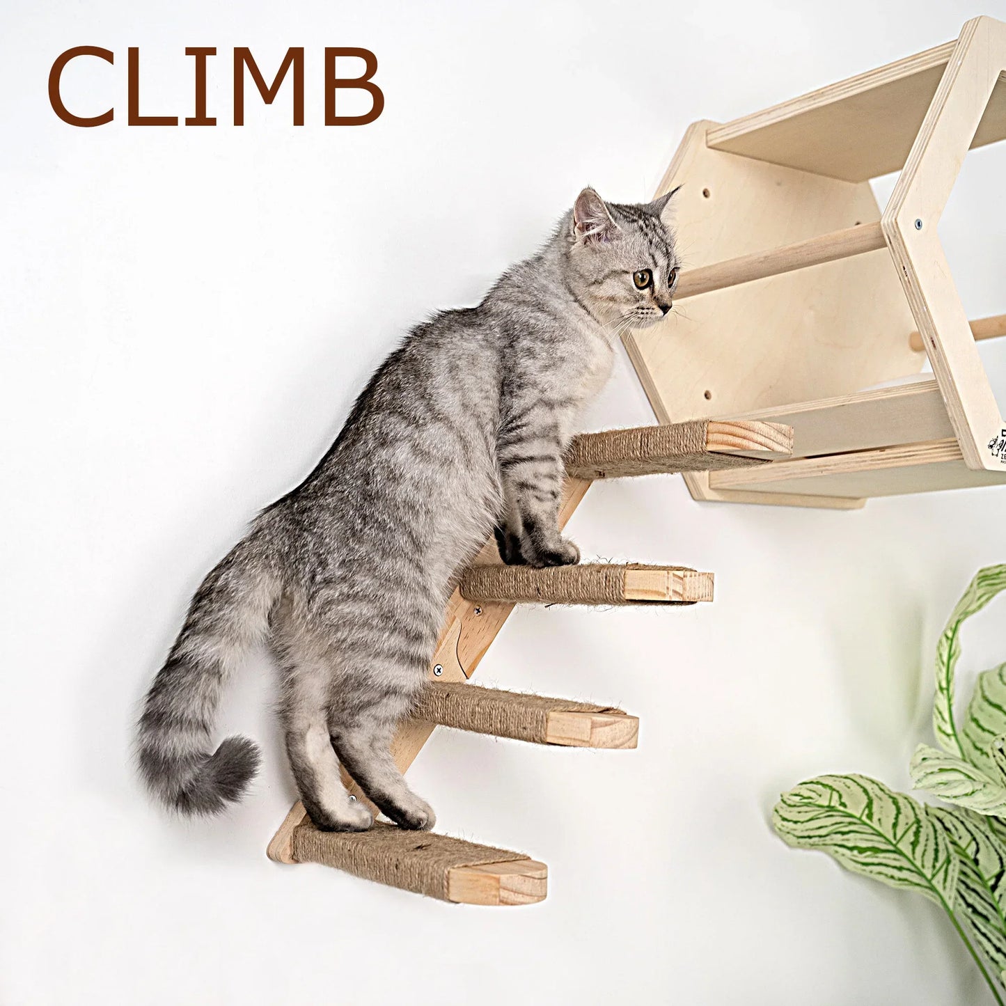 Wall-Mounted Cat Tree Tower with Hammock & Scratching Post