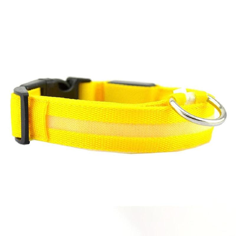 LED Pet Collar
