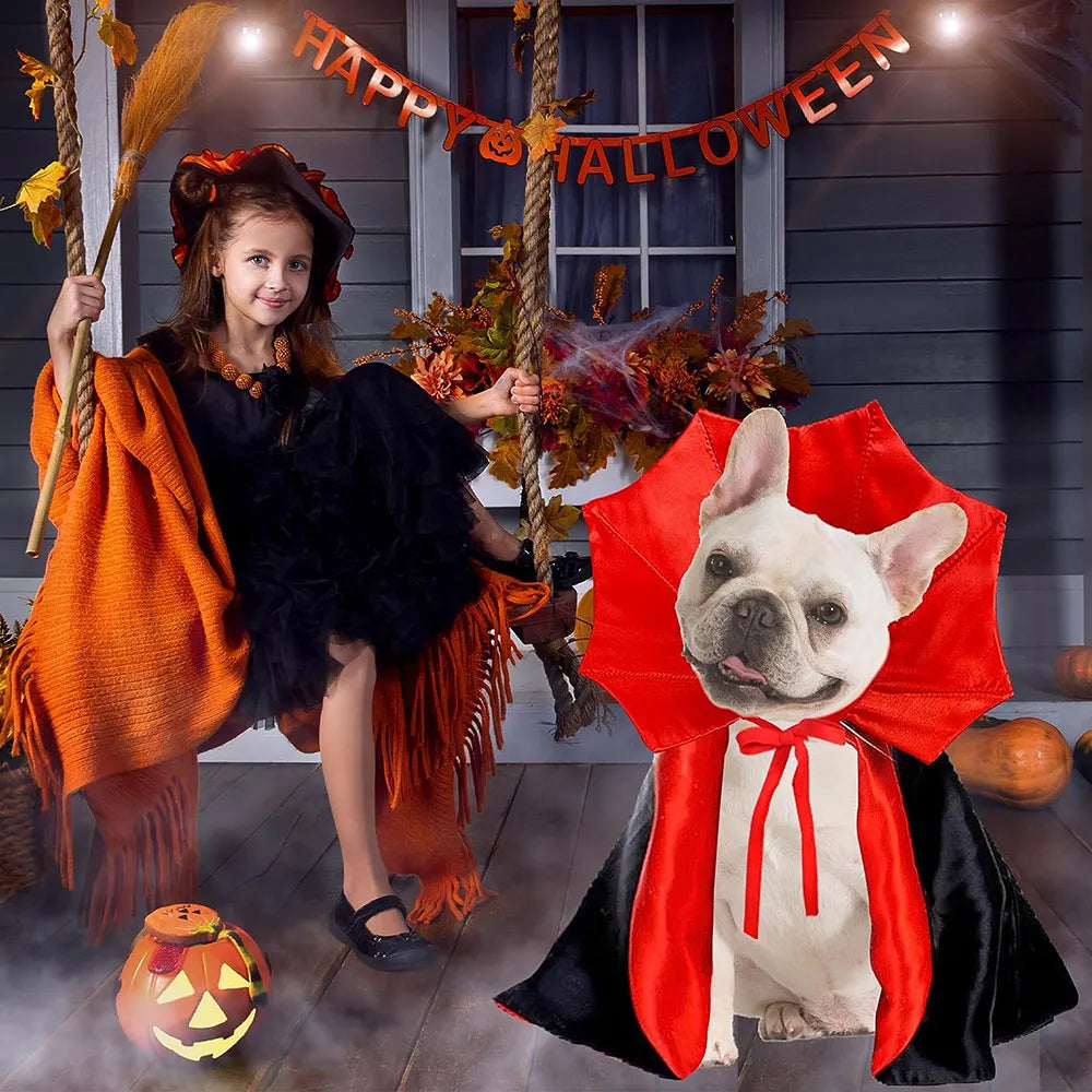 Vampire Halloween Dog Costumes