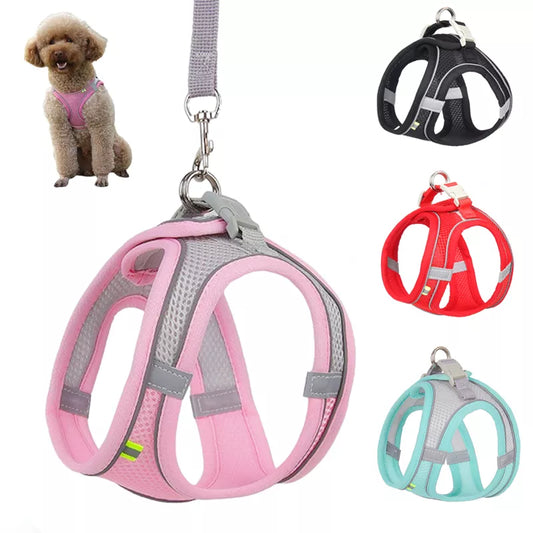 Dog Harness & Leash Set