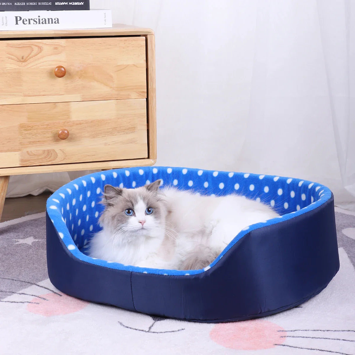 "Minimalist Pet Bed – Soft Poka Dot Sponge Cushion for Cats & Dogs – Chic Puppy House Mat & Habitat Accessory"