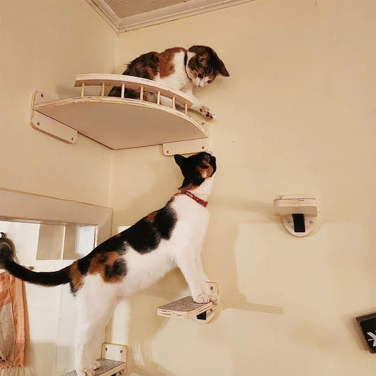 3/4Pcs Corner Hammock with-Step Set-Wall Mounted Cat Tree