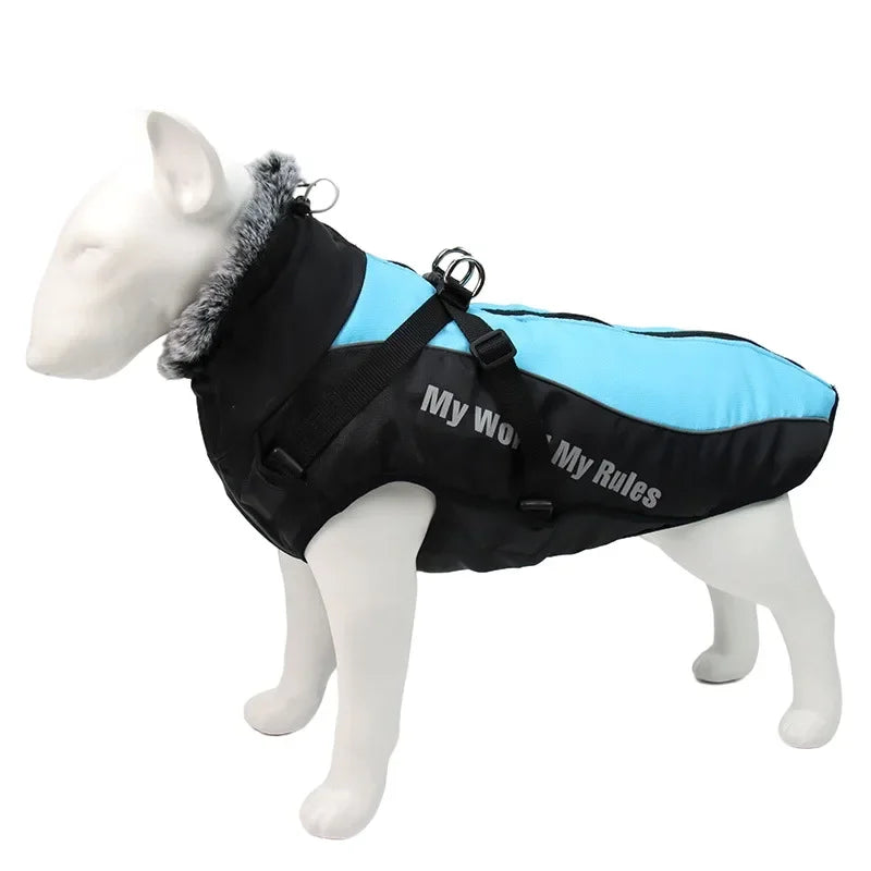Waterproof - Winter Dog Coat With Harness