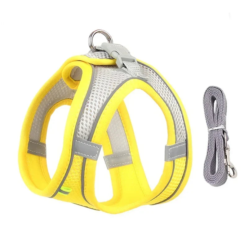 Adjustable Cat Harness & Leash Set