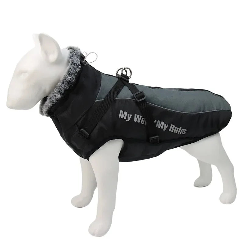 Waterproof - Winter Dog Coat With Harness