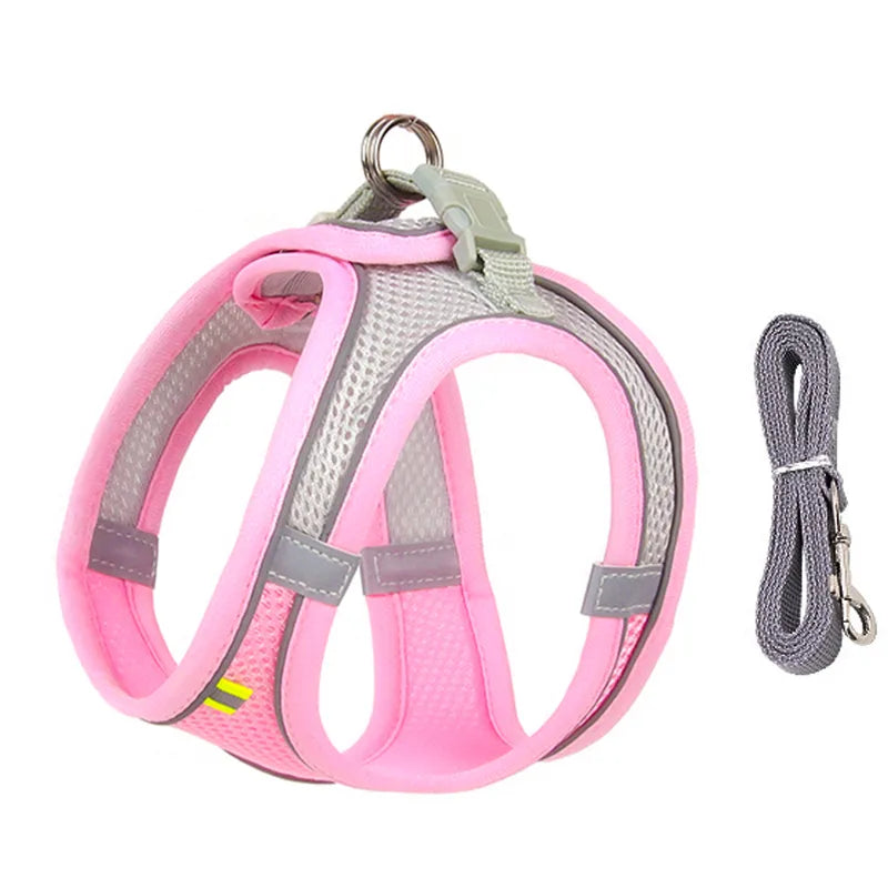 Dog Harness & Leash Set