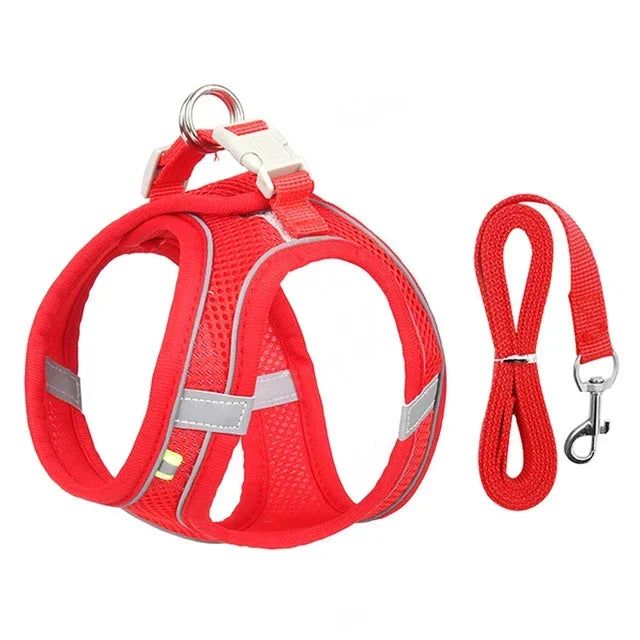 Adjustable Cat Harness & Leash Set