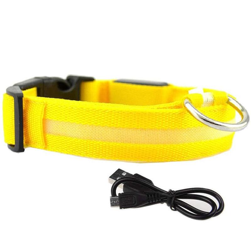 LED Pet Collar