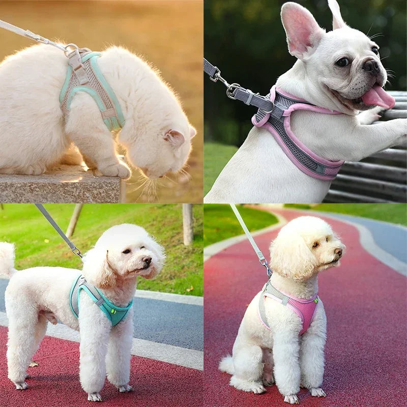 Adjustable Cat Harness & Leash Set