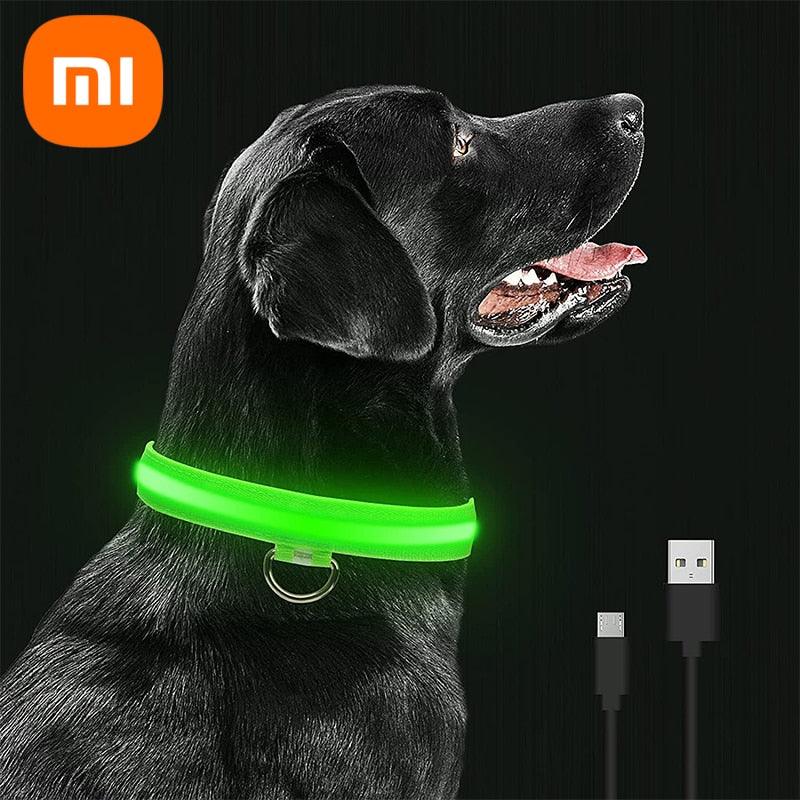LED Pet Collar