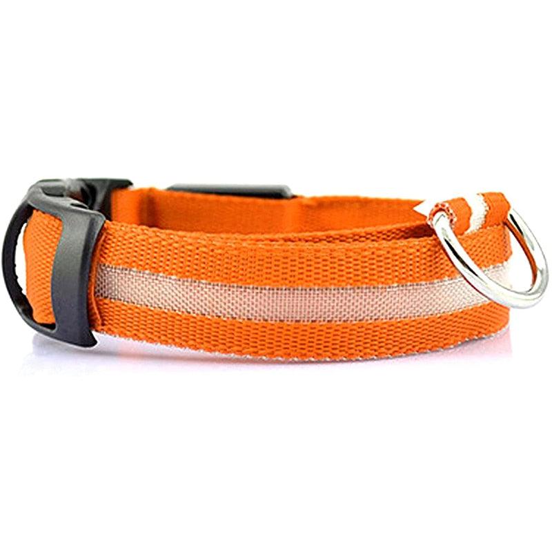 LED Pet Collar